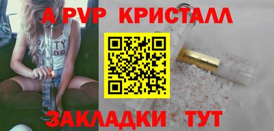 стаф Тверь