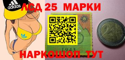 твердый Тара