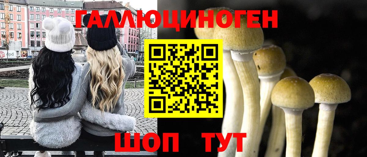 Галлюциногенные грибы Psilocybe  Вход с VPN  Москва 